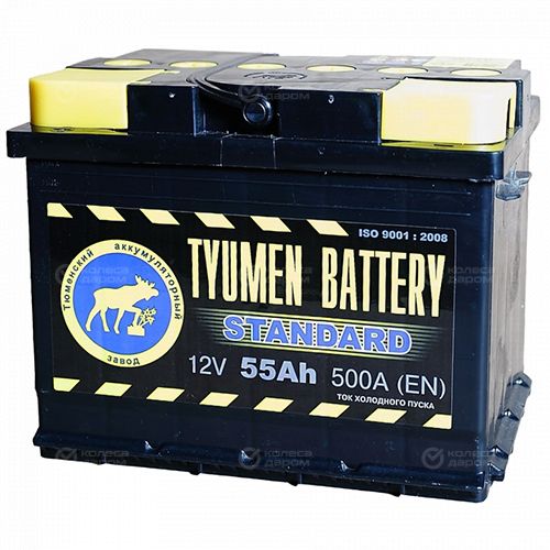 Автомобильный аккумулятор Tyumen Battery Standard 55 Ач прямая полярность L2 в Новосибирске