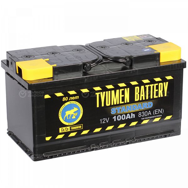 Автомобильный аккумулятор Tyumen Battery Standard 100 Ач прямая полярность L5 в Новосибирске