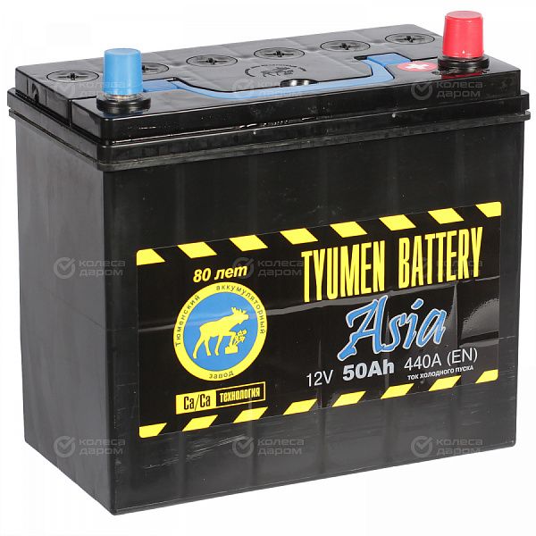 Автомобильный аккумулятор Tyumen Battery Asia 50 Ач обратная полярность B24L в Новосибирске