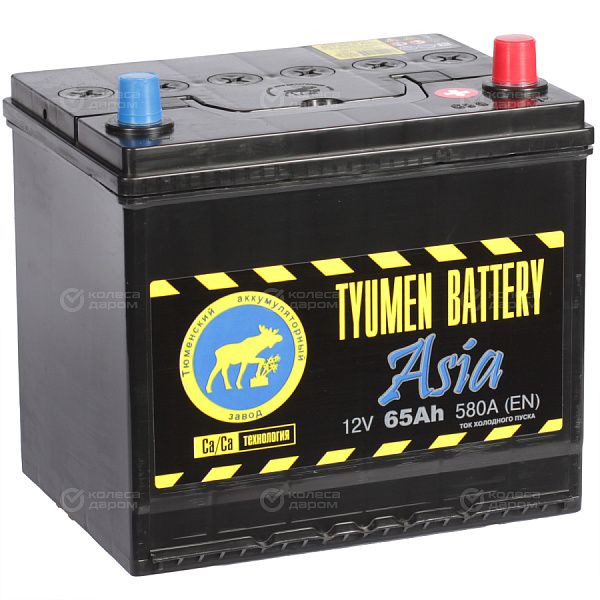 Автомобильный аккумулятор Tyumen Battery Asia 65 Ач обратная полярность D23L в Новосибирске