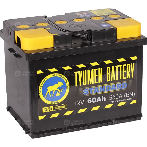 Автомобильный аккумулятор Tyumen Battery Standard 60 Ач прямая полярность L2 в Нижнекамске