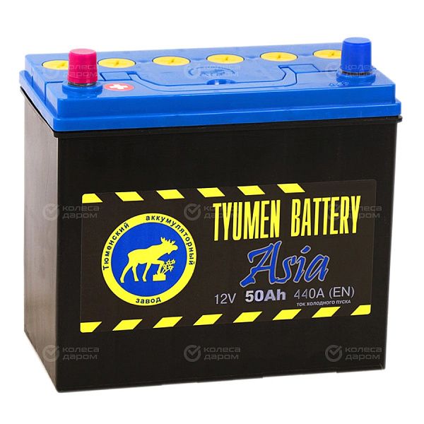 Автомобильный аккумулятор Tyumen Battery Asia 50 Ач прямая полярность B24R в Новосибирске