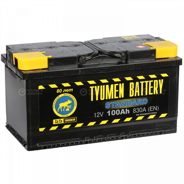 Автомобильный аккумулятор Tyumen Battery Standard 100 Ач обратная полярность L5 в Новосибирске